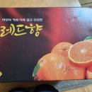 연님농장 이미지