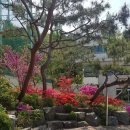 카라반공인중개사사무소 이미지