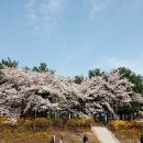 고슴도치 다락방