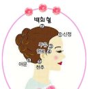 비염에 특효혈.백회혈 이미지