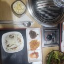 신씨고집 이미지