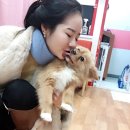 나밍밍 강아지네 이미지