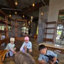 한라태권도 본관 3수련관 이미지