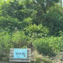 파파홈예산 이미지