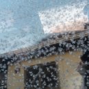 동처농장 이미지