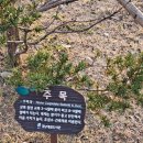 어벤더치창원봉곡점 | [어벤크루1] 멜론쉐이크, 그린그린한 산책으로