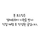 와이홀딩