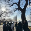 꿈기획사&투어 이미지