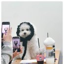 24시 인천 이음동물의료센터 이미지