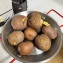 청풍명월농장 | 청풍명월장터 포슬포슬 홍감자