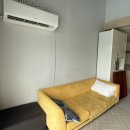 로로포레 이미지