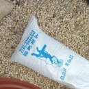 콩각시농원