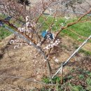 학의농장 이미지