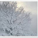 (주)소다시스템 - 평택시 | (주)소다시스템