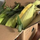 (주)맘스팜 이미지