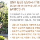 영기술개발 네이버블로그