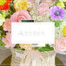 신플라워 - 서초구 새원3길 6 | 세류동 꽃배달 수원 권선구 꽃집 꽃바구니 당일 배송 예뻐용