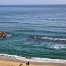 눈뜨면바다 | 강릉숙소추천 [눈뜨면바다] 강문해변 오션뷰펜션 503호(가격/내부/주차)