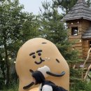 신북읍행복센터 | 6월의 속초는 맛있다