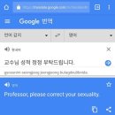 카카오맵 도랏노 이미지