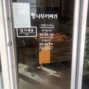 빵나무 이야기 이미지