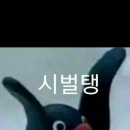 신선 네이버블로그