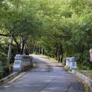 나막골약수터 이미지