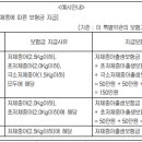 저체중아 출생보장(2.5kg이하) 특별약관(보험금의 지급사유) 이미지