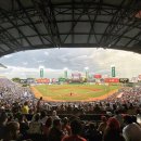 생활야구경기장 이미지