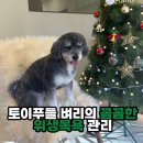 털이몽땅 네이버블로그