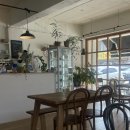 치키롤 | 원주 개운 | 테테하우스 | 치키차카초코케이크, 바질토마토셔벗