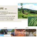 더스테이 이미지