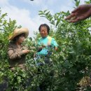 대환농장 이미지