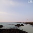 김녕성세기해변 티스토리