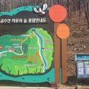 제천 치유의 숲 이미지