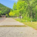 계방산 오토캠핑장 이미지