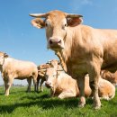 금병농장 이미지