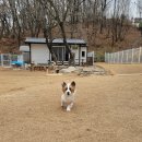 위례유치원 이미지