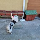 종인목장 이미지