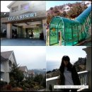 (주)대아울릉리조트 이미지