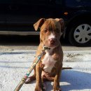 소영이네 이미지