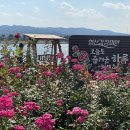 효자공원 이미지