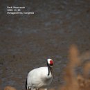 남안농장 이미지