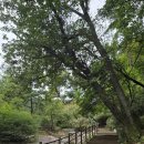 동의초등학교 | 추석 연휴때 가기 좋은 아차산 정상 - 4보루 코스!
