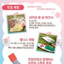 중앙장 | 가족과 함께한 남이섬 벚꽃 놀자 축제 후기 | 봄꽃 가득한 하루 나들이 코스 총정리