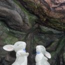 섬진강어류생태관 이미지