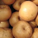 현명농장 이미지