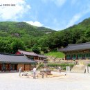 무릉도원 이미지