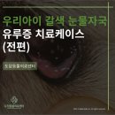 이천종합동물병원 이미지