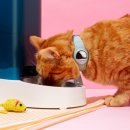 강서동물병원 이미지